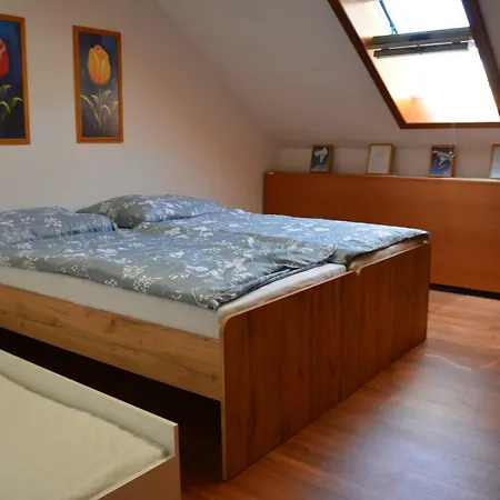 Guest house Nerudova Six Kosice